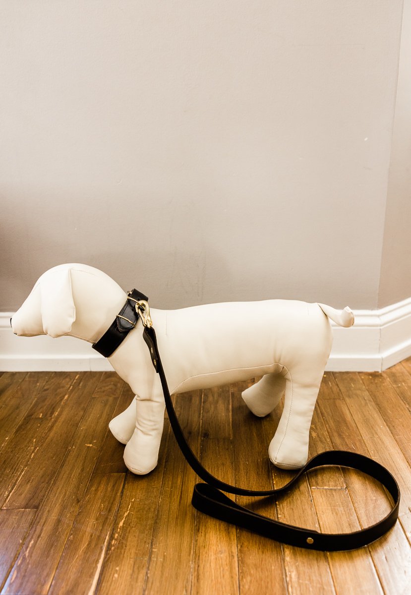 Lavelle Leather Leashes