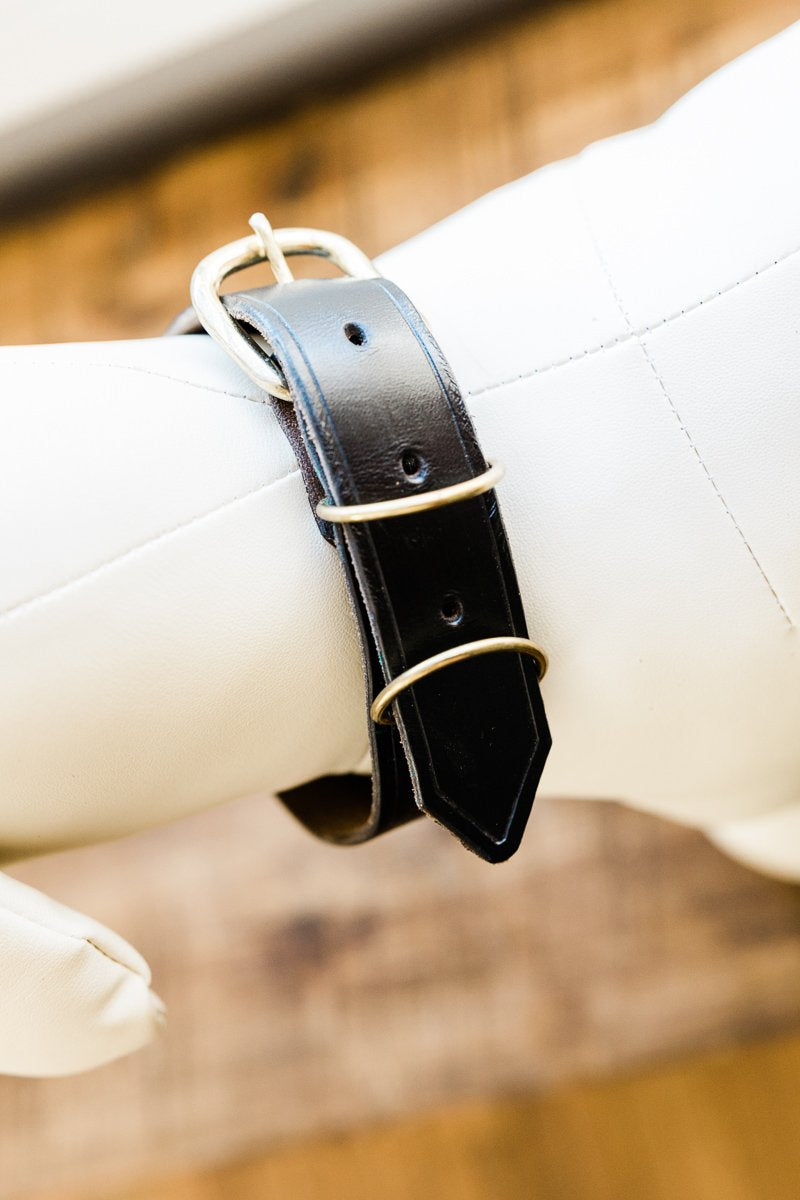 Lavelle Leather Collar with brass hardware